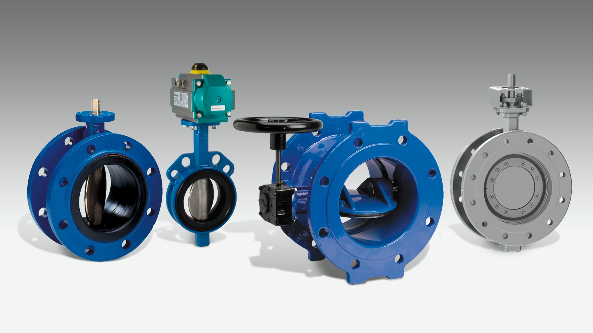 Butterfly Valve